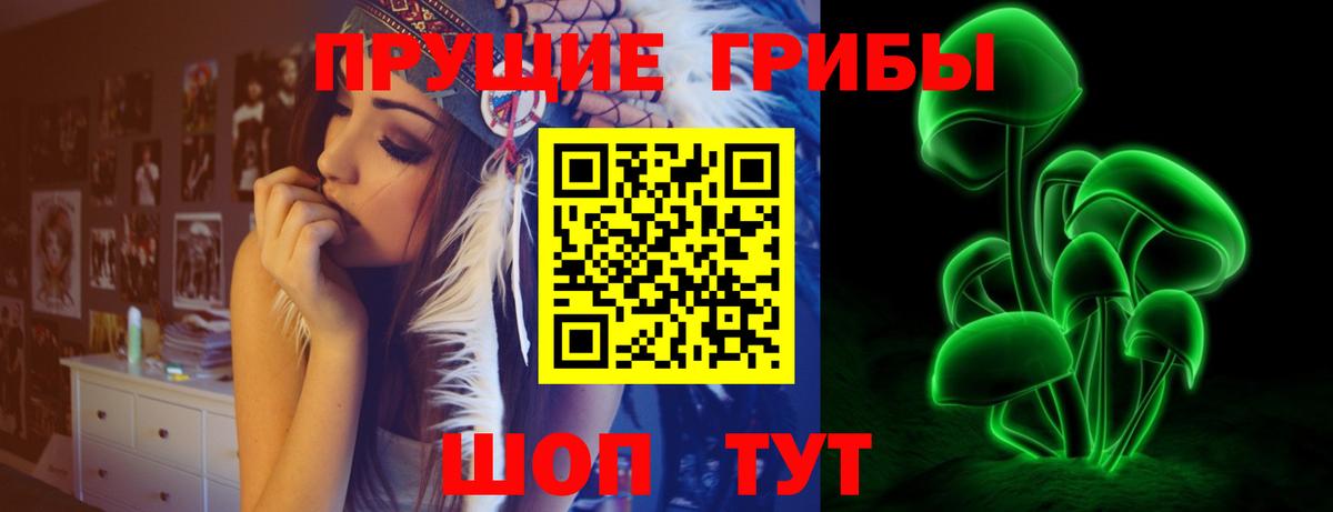 Тулун  Псилоцибиновые грибы Cubensis  Вход с VPN  Галлюциногенные грибы мицелий 